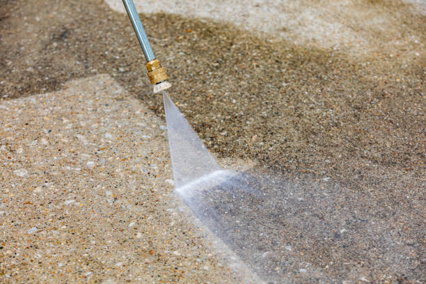 Best Sidewalk and Walkway Cleaning  in Hoopeston, IL
