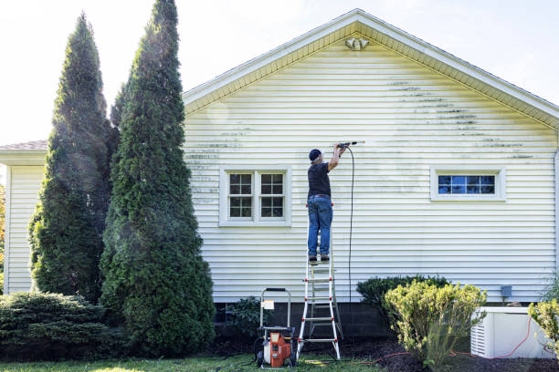 Best Gutter Cleaning  in Hoopeston, IL