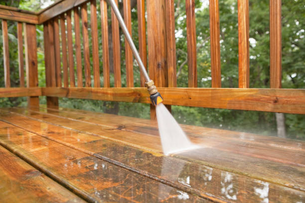 Best Building Exterior Washing  in Hoopeston, IL